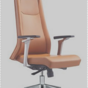 Fauteuil Ergonomique importé en cuir, haut dossier avec têtière incorporé, accoudoir réglable, basculant reposant sur 5 branches en acier glissant