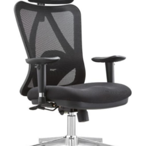 Fauteuil de direction Ergonomique en maille avec dossier, têtière et accoudoir réglables reposant sur 5 branches  en acier glissant